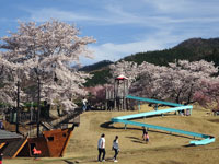 八代ふるさと公園