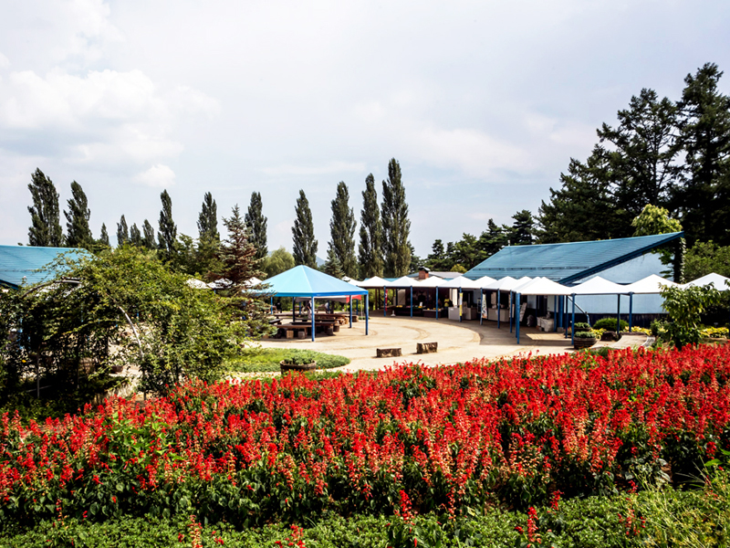 南八ヶ岳 花の森公園