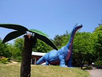 茶臼山自然植物園