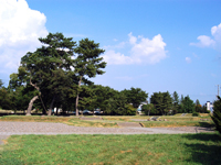 国分寺史跡公園