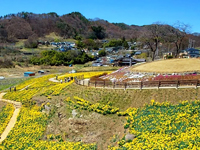 信州国際音楽村公園