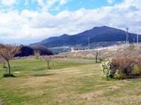 夜間瀬川中央河川公園