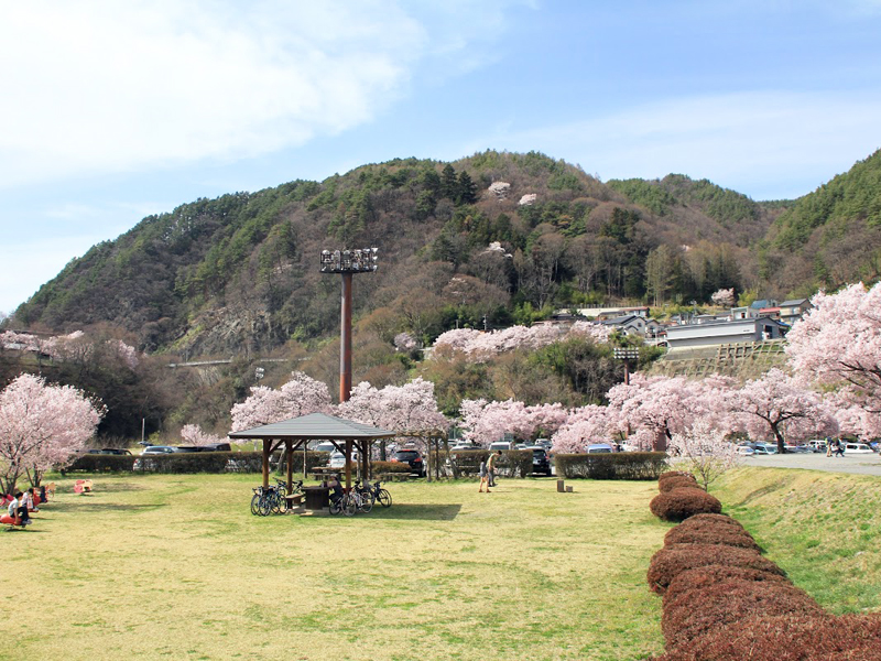 高遠スポーツ公園
