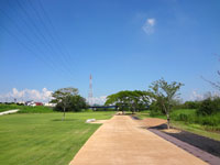 さい川さくら公園