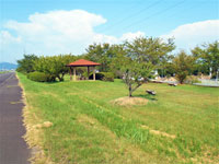 根尾川さくら公園