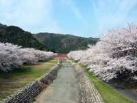 羽根谷だんだん公園