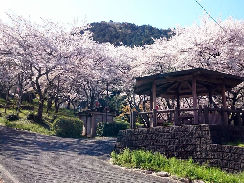 吉田出来山公園