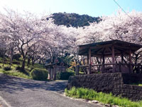 吉田出来山公園