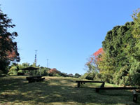 谷津山自然公園