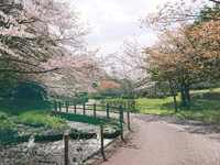 和田公園