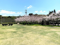 尾花運動公園