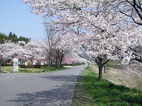 付知中央河川公園