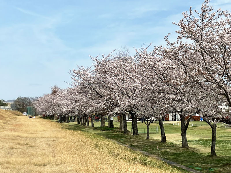 冨田山公園