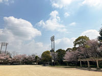 州の崎公園