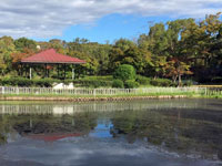 新池公園