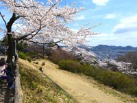 水道山公園