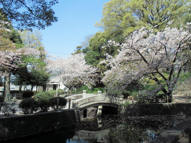 八幡公園