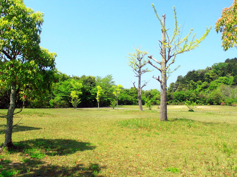 広陽2号公園