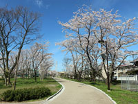 桜の森公園