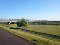 野洲川河川公園