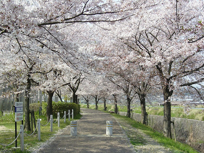 ふれあい広場