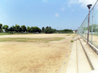 新公園