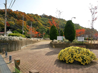 大塩のじぎくの里公園