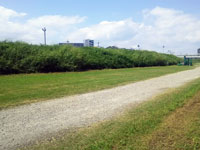 藻川河川敷公園