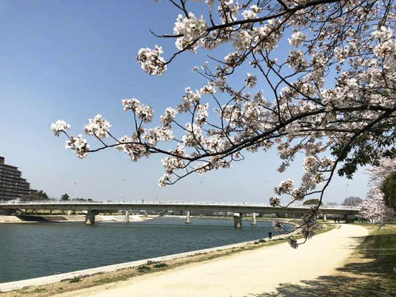 武庫川河川敷緑地公園