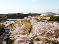 匠台公園