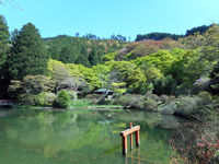 宇陀市榛原鳥見山公園