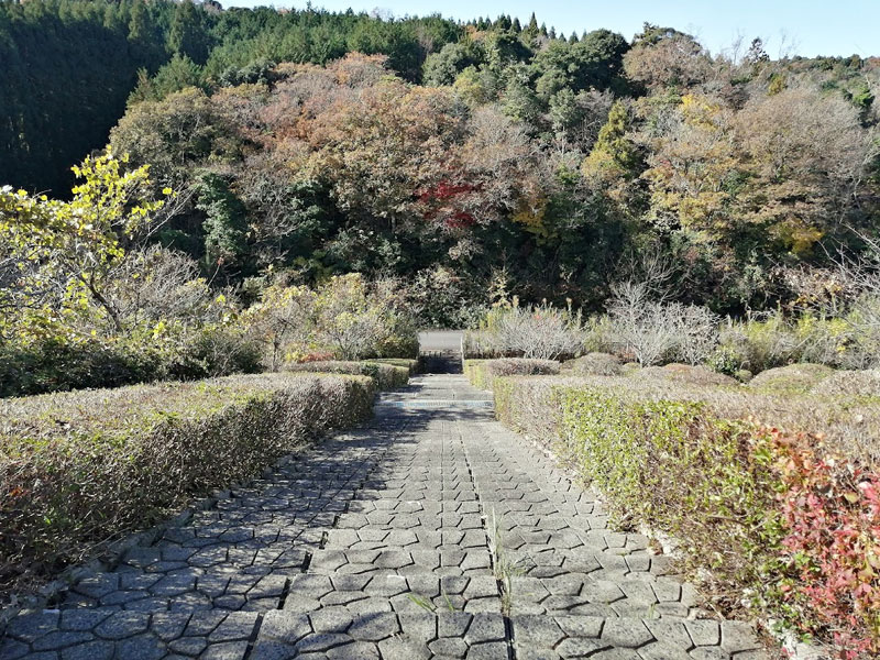 朝日ヒルズ西緑道