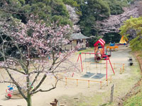 愛宕山公園