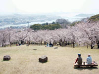 円通寺公園