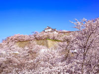 鶴山公園