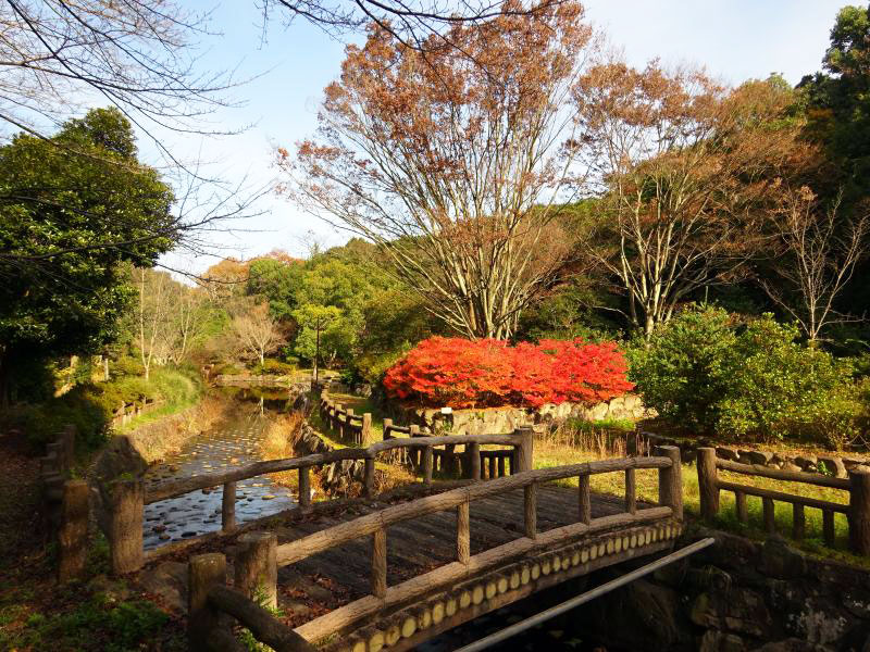 天王谷川公園