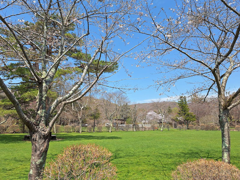 亀田記念公園