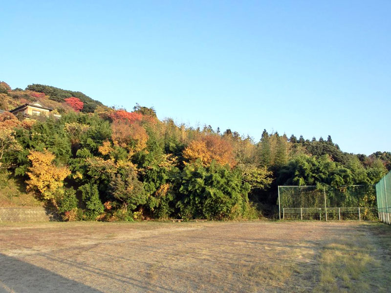 金剛山公園