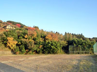 金剛山公園