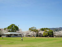 文化の森総合公園