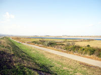 那賀川河川敷第1緑地