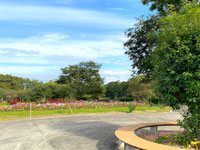 水辺の楽校中鳥川公園