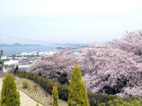 聖通寺山公園