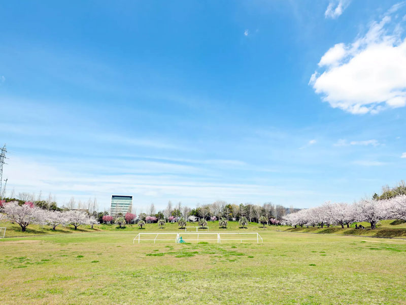 山田ふれあい緑地