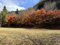 長柄ダム公園