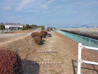 空港南公園