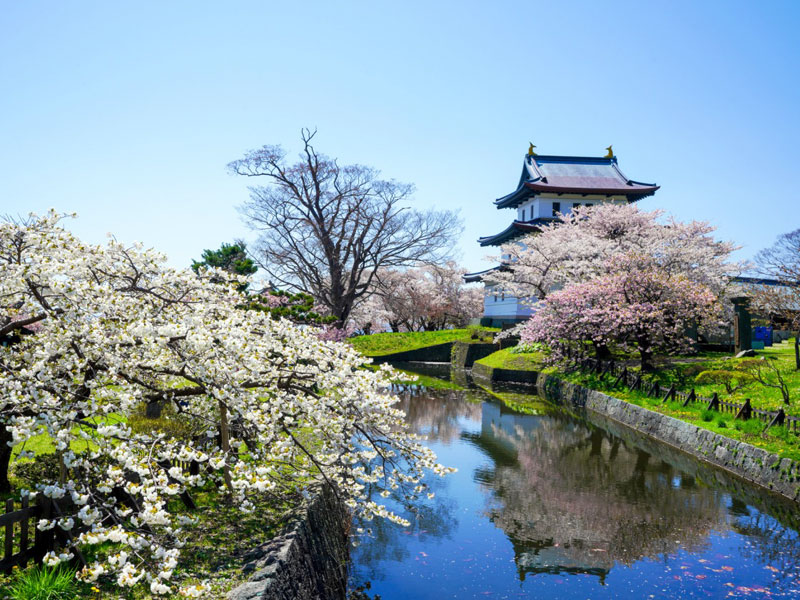 松前公園