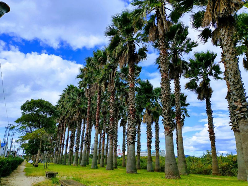 東村海岸公園