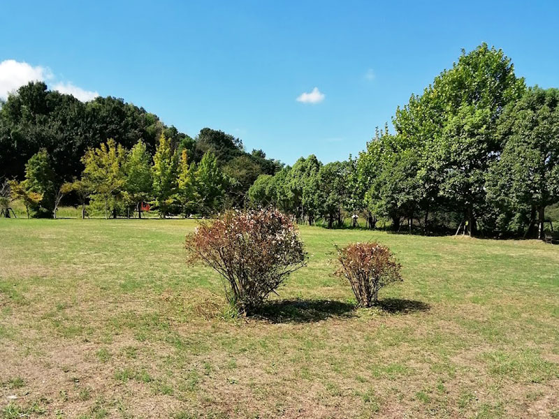 池原小ヶ丸広場公園