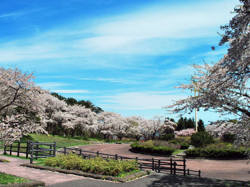 オニウシ公園